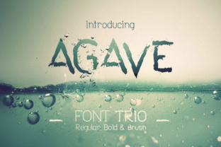 Agave Font Trio: A Designer's Review of This Display Typeface