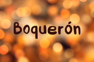 Boquerón: A Handwritten Display Font for Campaigns