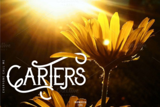 Carters: A Modern Classic Display Font for Editorial Design