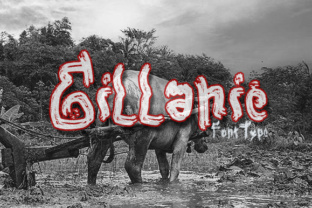 Gillanie: A Modern Display Font for Web Design