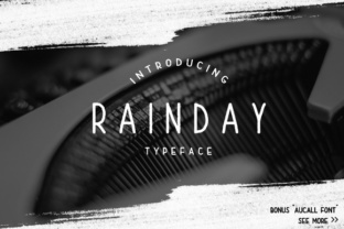 Rain Day: A Premium Display Font for Business Branding